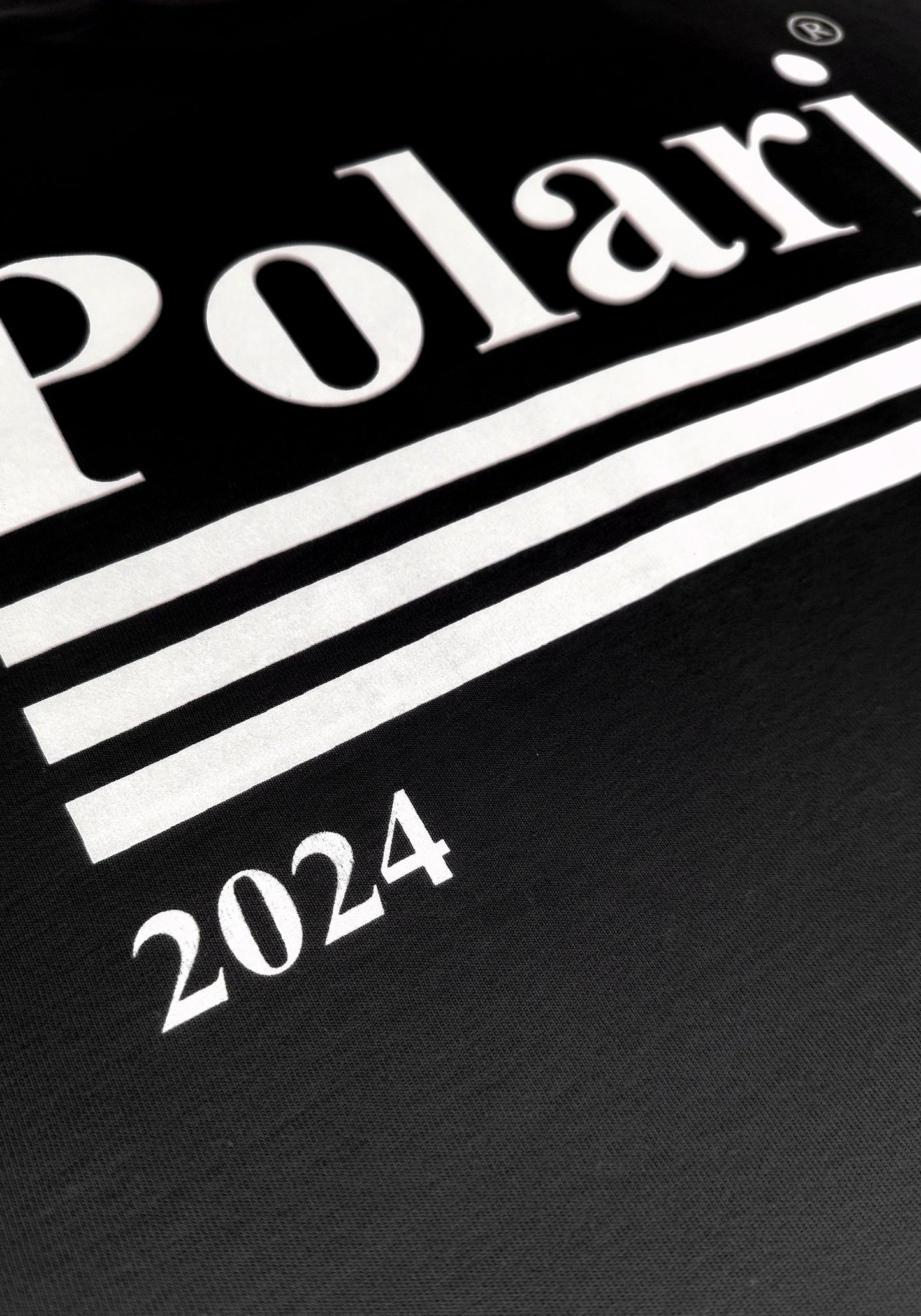 2024 Logo T-Shirt