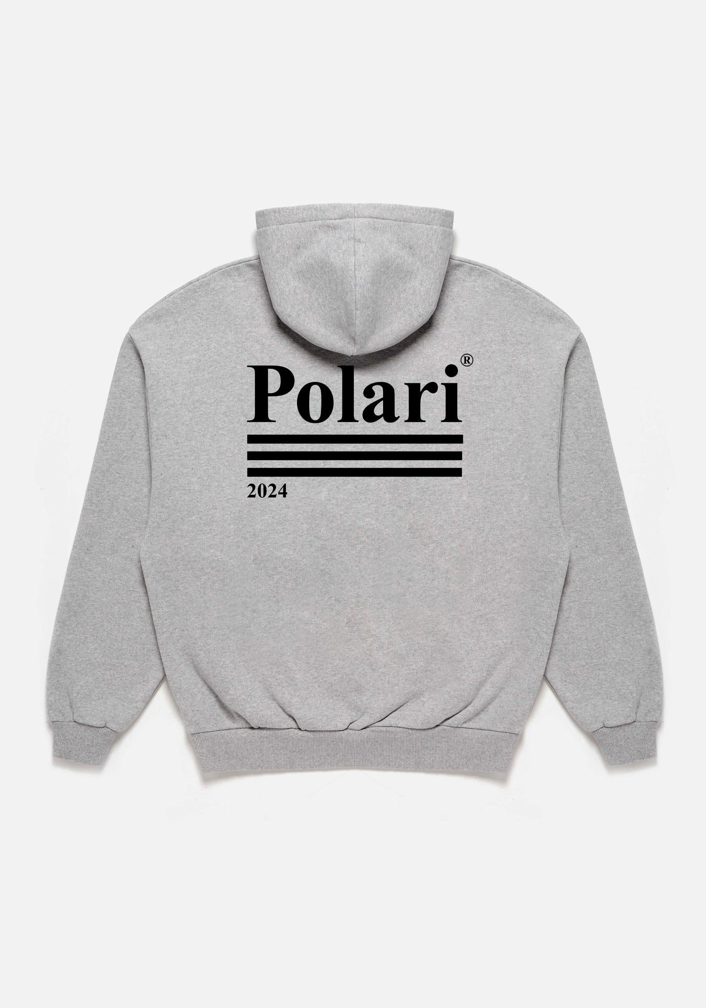 2024 Logo Hoody