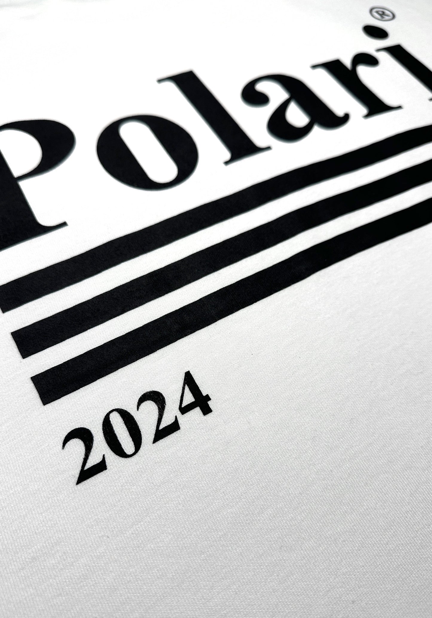 2024 Logo T-Shirt
