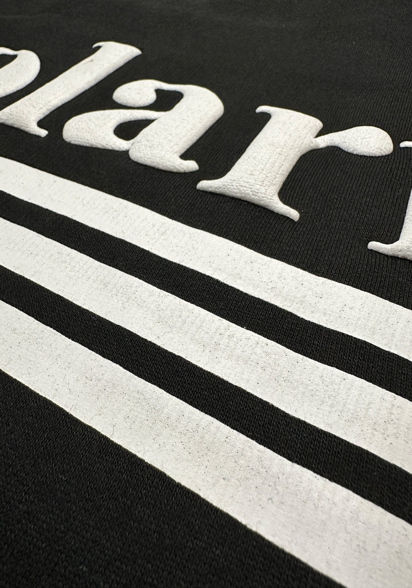 2024 Logo Hoody