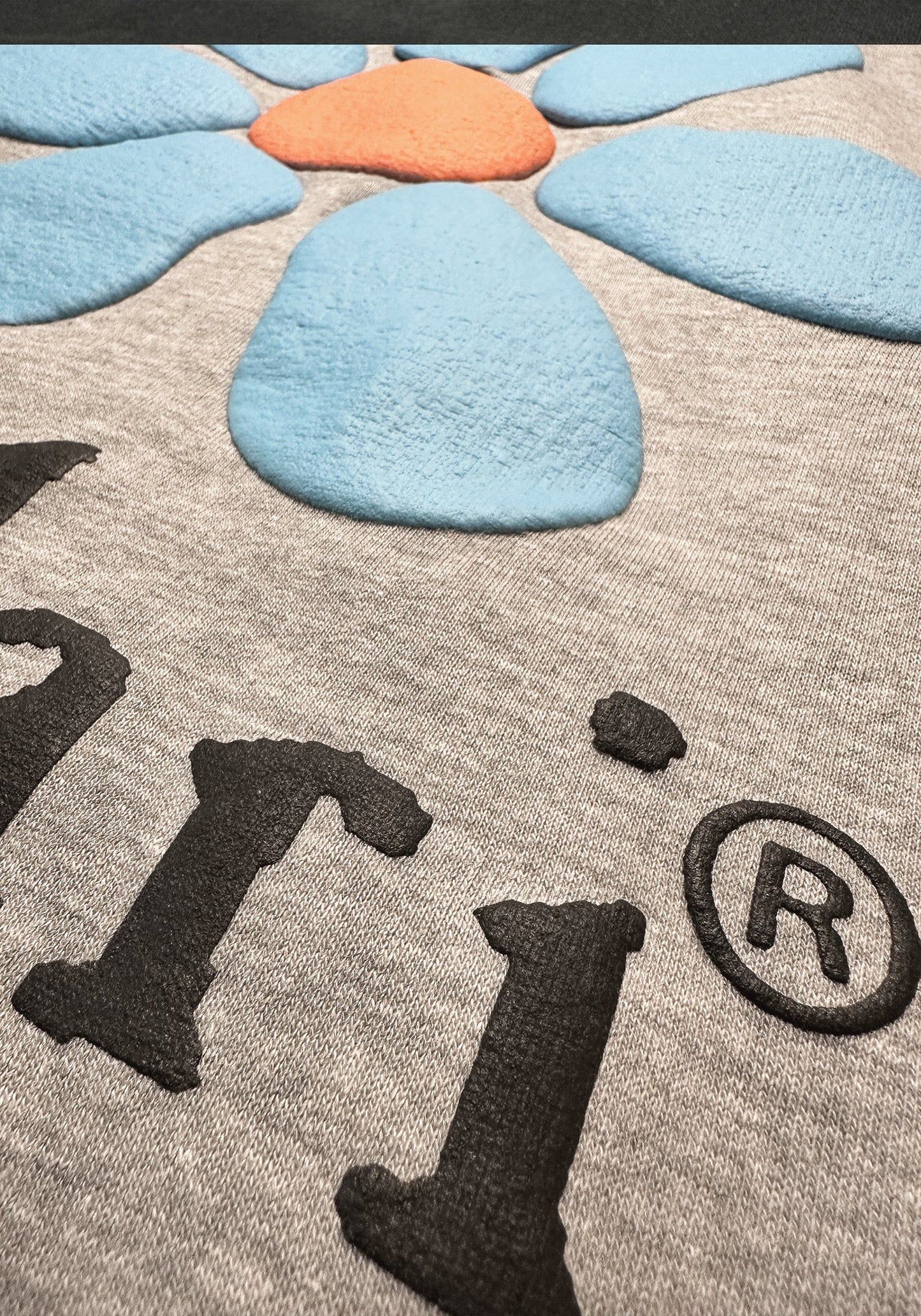 Plant a Rainbow Hoody